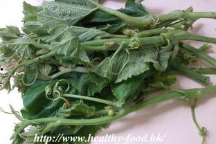 怀孕可以吃蒿瓜吗,蒿瓜在孕期是否适宜食用 第3张 怀孕可以吃蒿瓜吗,蒿瓜在孕期是否适宜食用 第3张