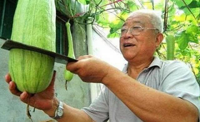 疾速吃瓜,揭秘娱乐圈的幕后风云