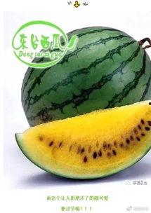 疾速吃瓜,揭秘娱乐圈的幕后风云  第2张