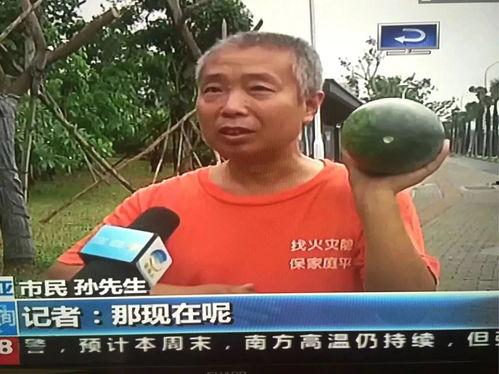 近期吃瓜热门事件