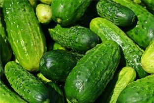 梦见吃瓜卖瓜,瓜田里的奇幻之旅 第3张 梦见吃瓜卖瓜,瓜田里的奇幻之旅 第3张