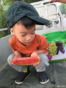 最新吃瓜爆料图片大全,图解娱乐圈风云变幻 第3张 最新吃瓜爆料图片大全,图解娱乐圈风云变幻 第3张