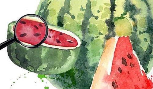 什么是吃瓜心态,网络围观背后的心理现象  第3张