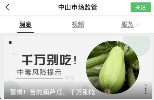 吃蜜瓜会苦,揭秘甜蜜背后的苦涩真相 第2张 吃蜜瓜会苦,揭秘甜蜜背后的苦涩真相 第2张