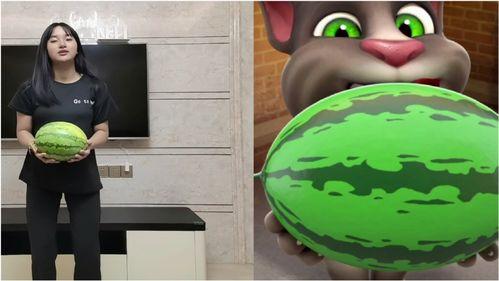 汤姆猫吃冰瓜,汤姆猫夏日冰瓜盛宴 第3张 汤姆猫吃冰瓜,汤姆猫夏日冰瓜盛宴 第3张