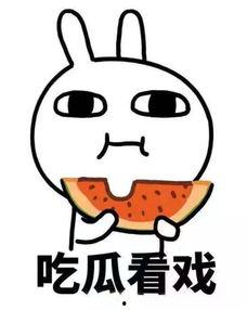 吃瓜不分,揭秘娱乐圈背后的真相与八卦