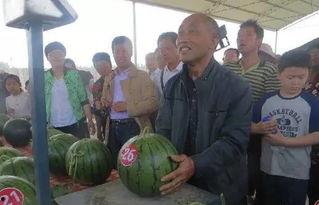 坊子吃瓜群众,揭秘街头巷尾的热议焦点 第3张 坊子吃瓜群众,揭秘街头巷尾的热议焦点 第3张