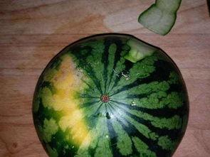 吃瓜系统吃东西,揭秘美食背后的科技魅力  第3张