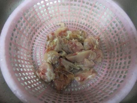 兔子吃茄瓜吗,探究兔子是否食用茄瓜的奥秘  第3张