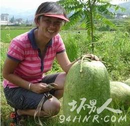 吃瓜世界之最,揭秘全球奇特的瓜果传奇  第3张