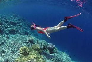 潜水吃瓜观众,揭秘水下世界的趣味观察