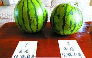 留学圈作诗吃瓜,一场别开生面的文化盛宴