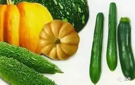 英区吃瓜pdf,揭秘英国社会热点事件背后的真相