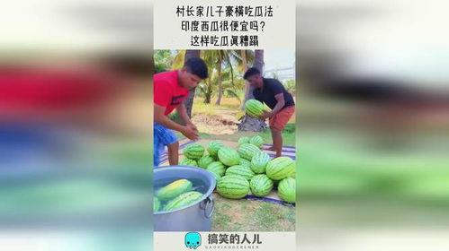 吃瓜的村长,揭秘乡村里的那些事儿