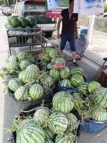 太和华源吃瓜事件,揭秘网络舆论的风暴与反思