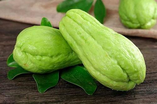 综艺吃佛手瓜,探寻佛手瓜的独特风味