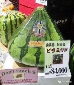 地球级吃瓜群众,揭秘娱乐圈幕后风云