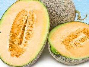 吃哈密瓜可以吃甜瓜马,解锁甜瓜美味新境界
