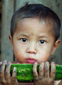 吃瓜少年照片,照片背后的故事与真相