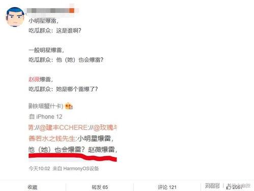 吃瓜爆雷,爆雷事件背后的真相与反思