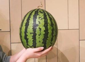 吃瓜杭州老师,网络热议背后的教育思考