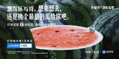 乡里吃瓜文案句子,趣味横生，尽享乡村夏日时光