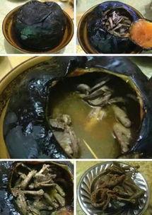 带你吃瓜 奇葩食物,揭秘那些令人惊奇的奇葩食物